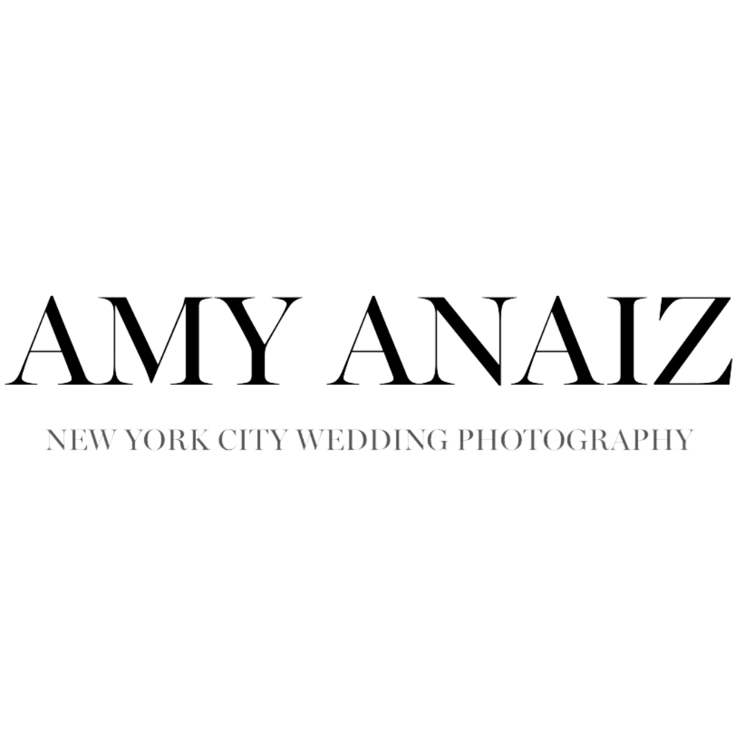 Amy Anaiz Logo