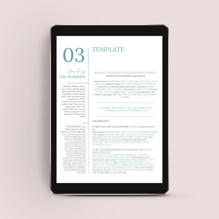 The Wedding Photographer’s Essential Collection of Web Page Templates